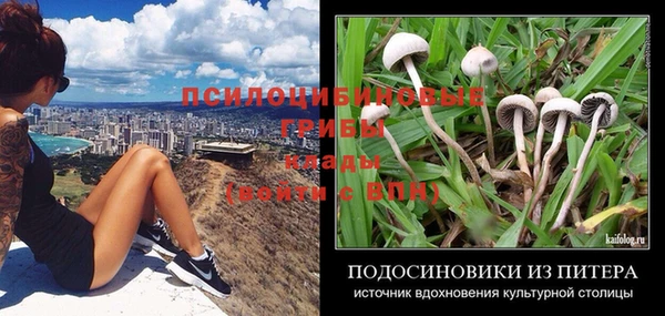 a pvp Вязники